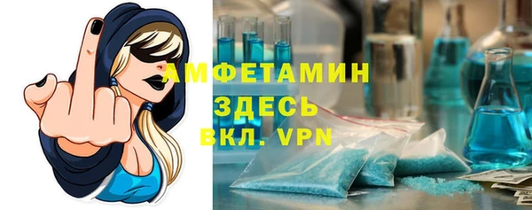 дживик Богородицк