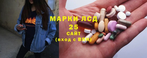 дживик Богородицк