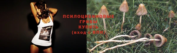 синтетический гашиш Богородск