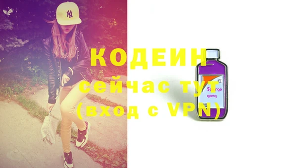 дживик Богородицк
