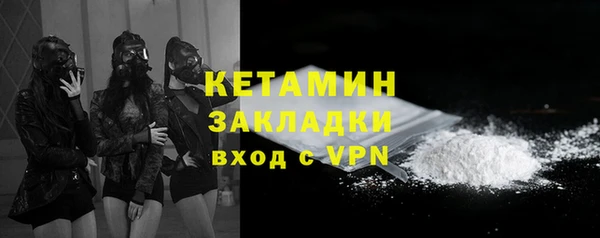 дживик Богородицк