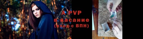 марки lsd Богданович