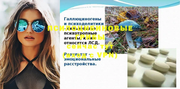 дживик Богородицк