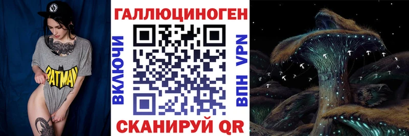 магазин продажи наркотиков  Острогожск  Псилоцибиновые грибы мицелий 