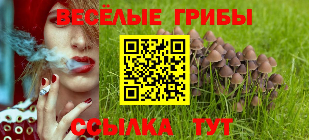 Галлюциногенные грибы Cubensis  Вход с VPN  Острогожск 