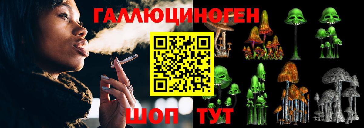 Псилоцибиновые грибы прущие грибы Острогожск